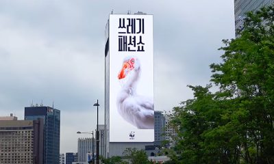 WWF Korea X Cheil Campaign