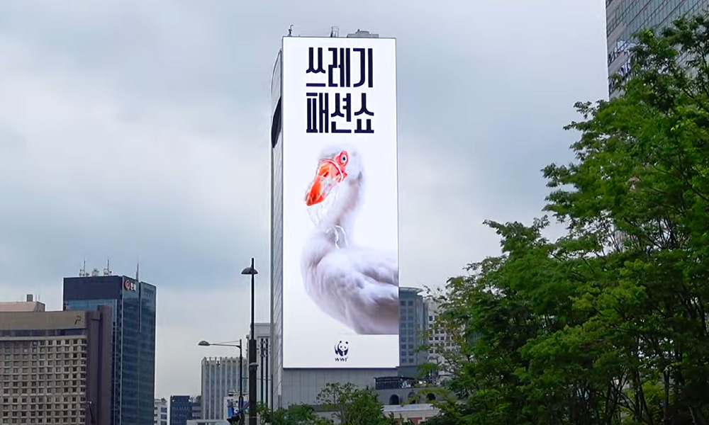 WWF Korea X Cheil Campaign